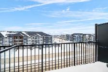 Stunning 1 Bedroom Apartment! With Fitness Centre! - Photo 9