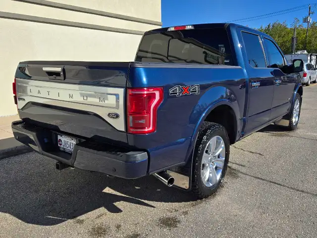 2017 F150 Platinum - Photo 2