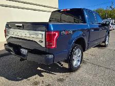 2017 F150 Platinum - Photo 2