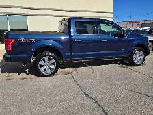 2017 F150 Platinum - Photo 4