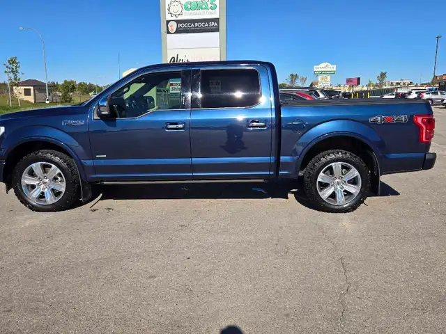 2017 F150 Platinum - Photo 5