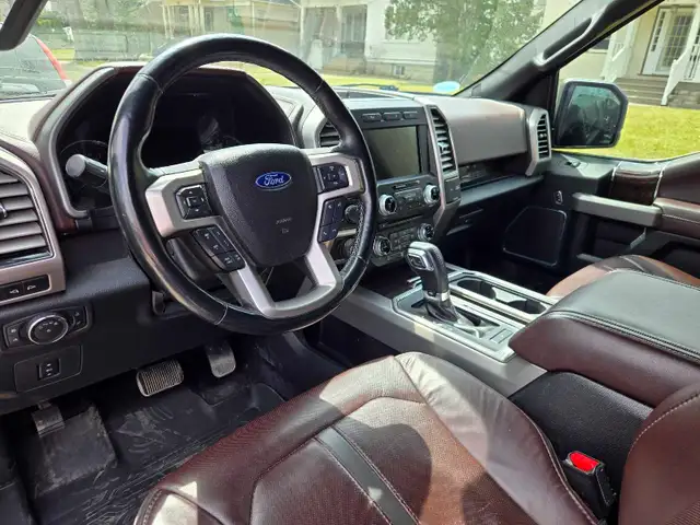 2017 F150 Platinum - Photo 7
