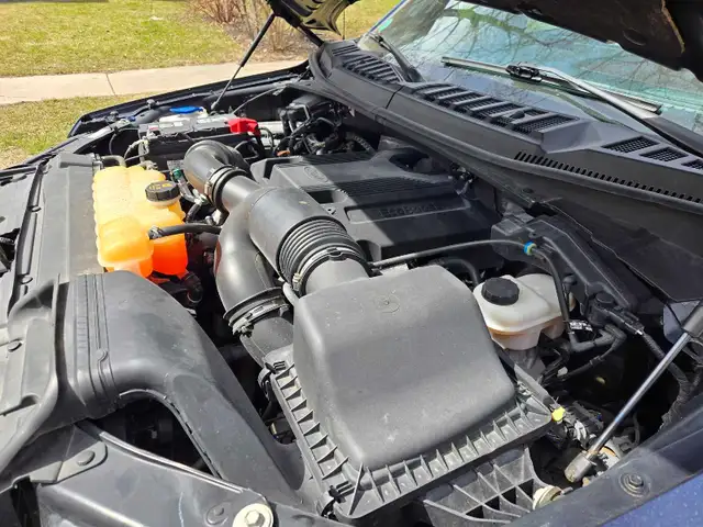 2017 F150 Platinum - Photo 8