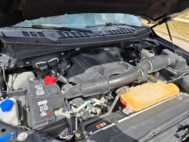2017 F150 Platinum - Photo 9