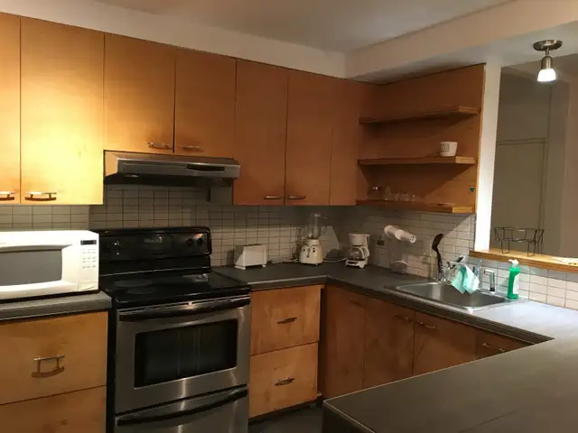 4 Bedroom… De Lorimier….Private Backyard - Photo 3