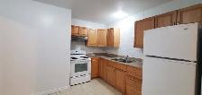 Newly Renovated 2 Bedroom Apartment, All Utilities Included