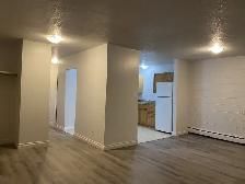 Newly Renovated 2 Bedroom Apartment, All Utilities Included - Photo 5