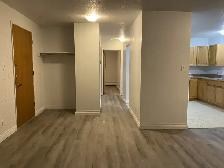 Newly Renovated 2 Bedroom Apartment, All Utilities Included - Photo 7