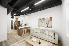 Luxury 1 Bedroom Apartment! Available August 1st!