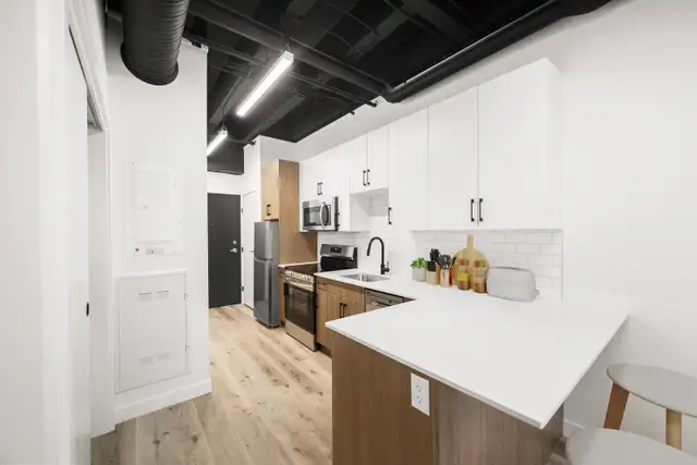 Luxury 1 Bedroom Apartment! Available August 1st! - Photo 4