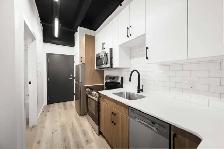 Luxury 1 Bedroom Apartment! Available August 1st! - Photo 8