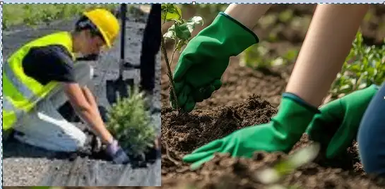 Help Needed - Strong Man to work in the backyard