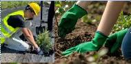 Help Needed - Strong Man to work in the backyard