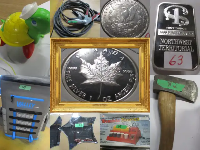 EDMONTON:  Timed Online Weekly Auction - Closing May 15th @ 6 pm - Photo 2