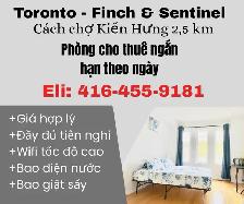 Phòng cho thuê ngắn hạn, theo ngày