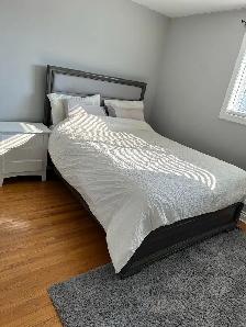 AMAZING SHARED ACCOMMODATIONS, CLEAN COMFORTABLE ROOM FOR RENT - Photo 3