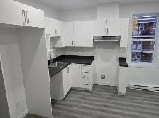 appartement à louer au Plateau Montreal