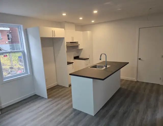 appartement à louer au Plateau Montreal - Photo 7