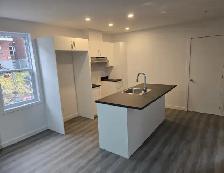 appartement à louer au Plateau Montreal - Photo 7
