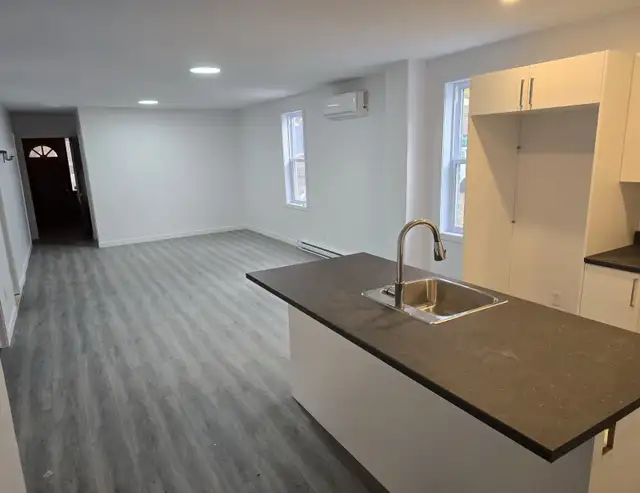 appartement à louer au Plateau Montreal - Photo 8