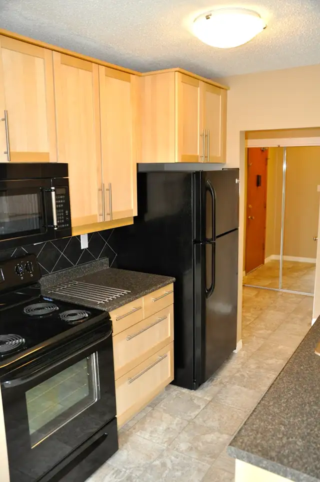 Near the U of S - Beautiful 2 Bdrm Suite for Rent - Photo 2