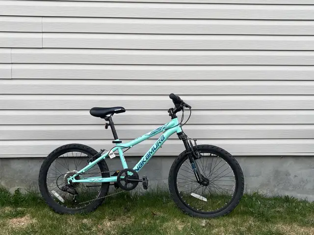 Girls Mountain bike (20 in)