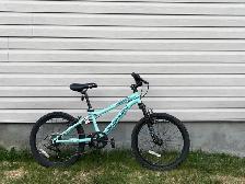Girls Mountain bike (20 in)