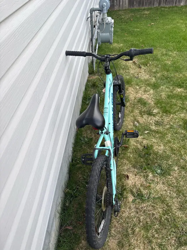 Girls Mountain bike (20 in) - Photo 3