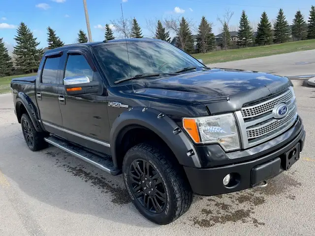 2010 Ford F150 Platinum, Safetied - Photo 2