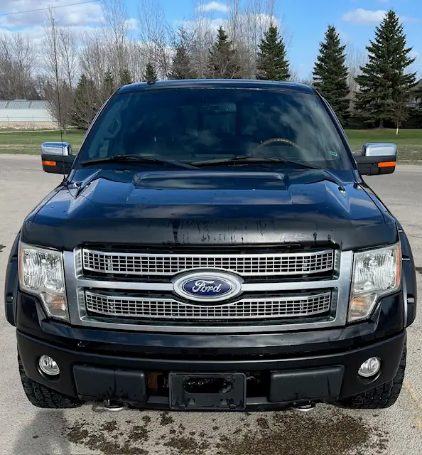 2010 Ford F150 Platinum, Safetied - Photo 3