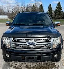 2010 Ford F150 Platinum, Safetied - Photo 3