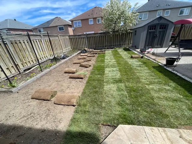 sod installation, grass cutting and pressure wash