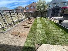 sod installation, grass cutting and pressure wash