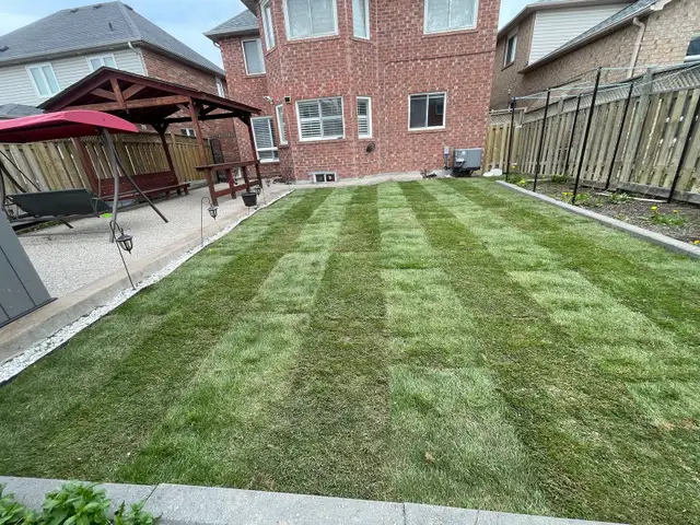 sod installation, grass cutting and pressure wash - Photo 2