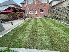 sod installation, grass cutting and pressure wash - Photo 2