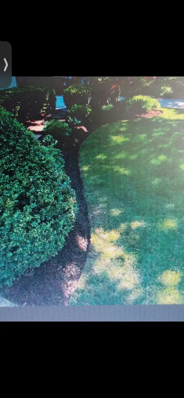 sod installation, grass cutting and pressure wash - Photo 4