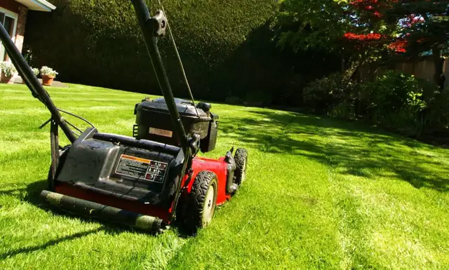 sod installation, grass cutting and pressure wash - Photo 5