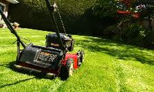 sod installation, grass cutting and pressure wash - Photo 5