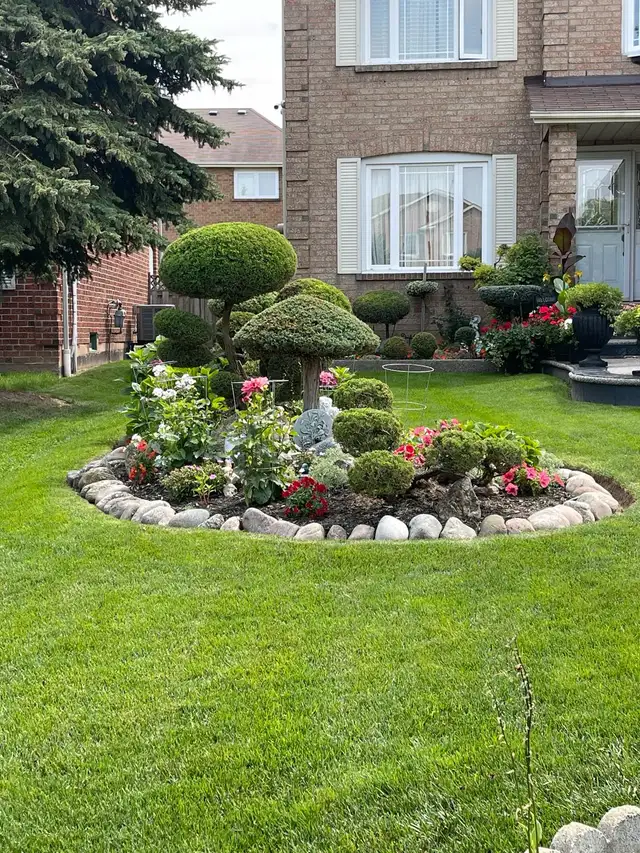 sod installation, grass cutting and pressure wash - Photo 6