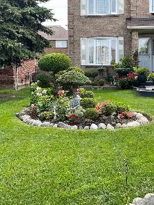 sod installation, grass cutting and pressure wash - Photo 6