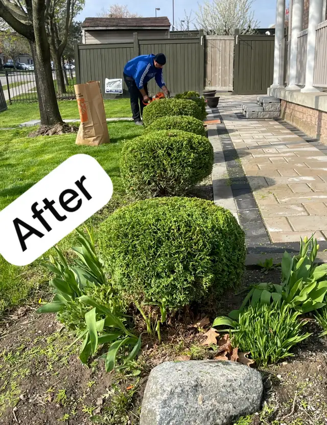 sod installation, grass cutting and pressure wash - Photo 8