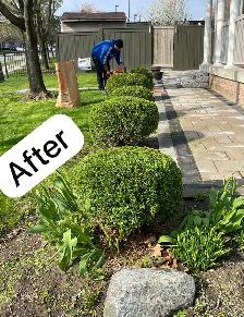 sod installation, grass cutting and pressure wash - Photo 8