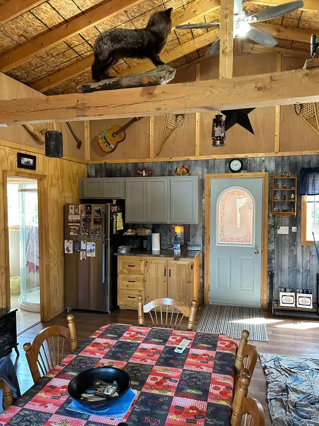 Cabin in Newfoundland - Photo 9