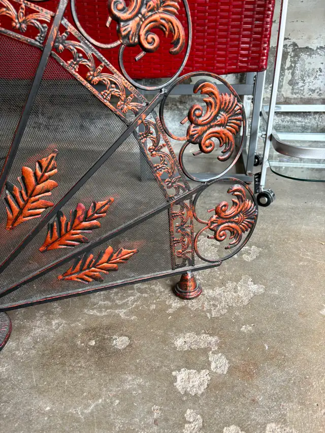Fire Screen - Photo 6