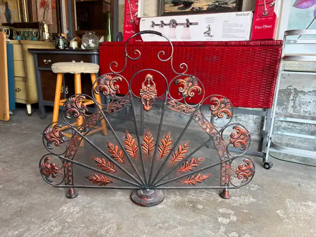 Fire Screen - Photo 9