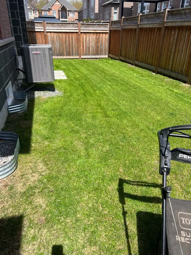 grass cutting and weed control 289-772-7822