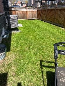 grass cutting and weed control 289-772-7822
