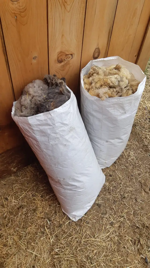 Babydoll Wool Bags