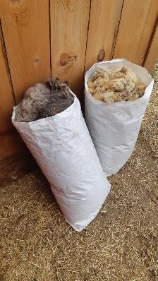 Babydoll Wool Bags