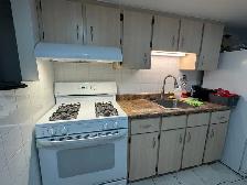 East Downtown (Woodbine/Danforth) ONE bdrm $1350 - Photo 5